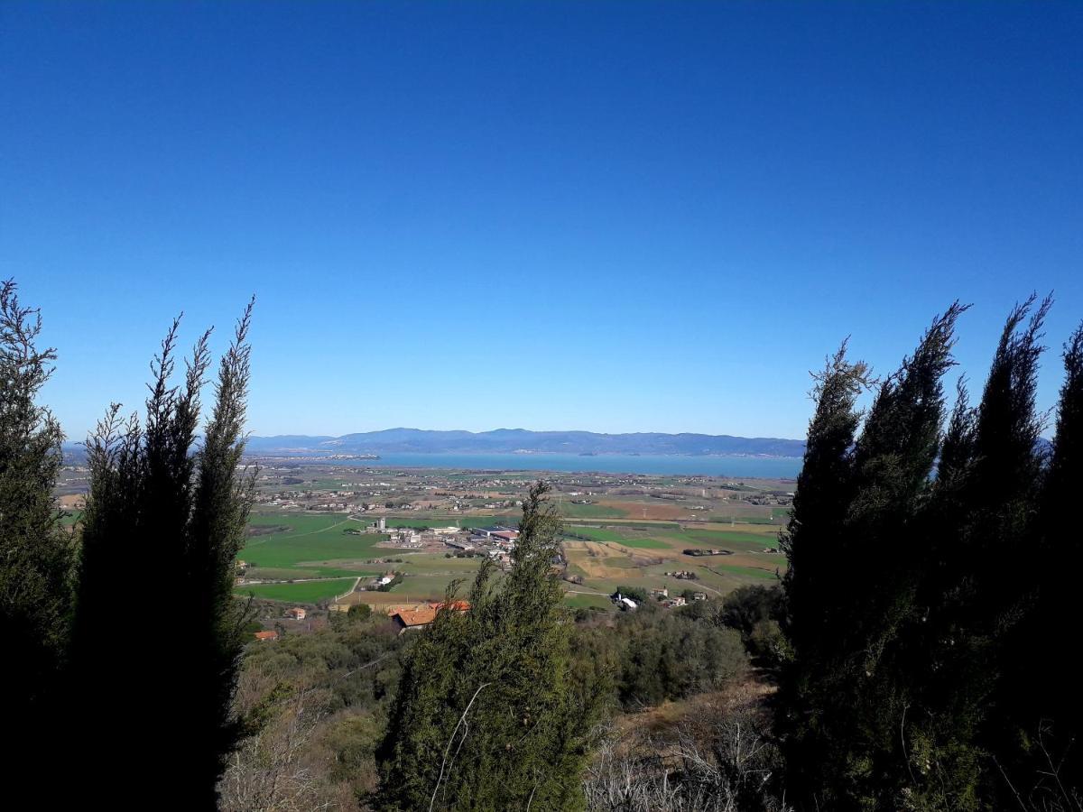 Il Vecchio Frantoio Villa Паникале Екстериор снимка